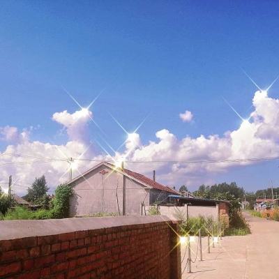 新魔塔传说内购破解版下载